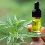 The health benefits of CBD oil in 2024.